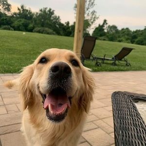 Meet your Posher, Americo